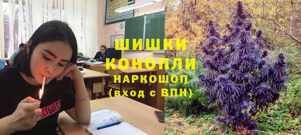 соль ск Грязи