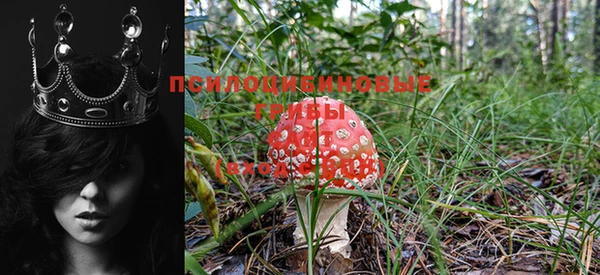 метадон Балабаново