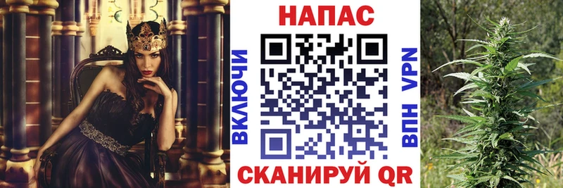 Бошки Шишки сатива  закладки  Киреевск 